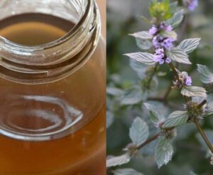 Domácí mátový sirup (mátový sirup recept)