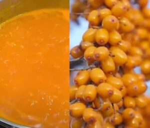 Rakytníkový sirup recept (rakytník sirup recept)