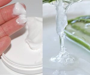 Mast z aloe recept (domácí mast z aloe vera)