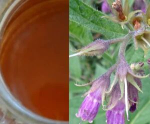 Kostivalová tinktura výroba (kostivalová tinktura recept)