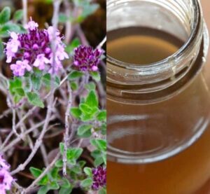 Mateřídouškový sirup recept (mateřídouškový sirup)