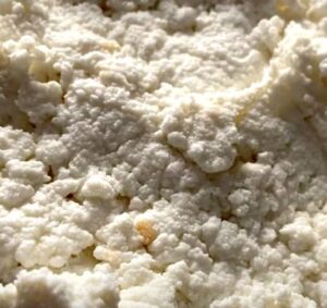 Co je ricotta (ricotta použití)