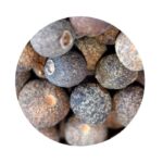 Nové koření celé (nové koření bio)