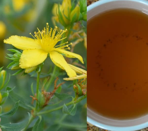 Čaj z třezalky (třezalka tečkovaná čaj, třezalka čaj)