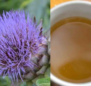 Artyčokový čaj (artyčok čaj)