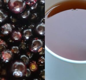 Borůvkový čaj (čaj z borůvek)