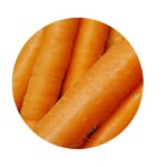 Mrkev semena (semena mrkve)