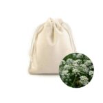 Kozlík pytlíček (kozlíkový pytlíček)