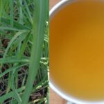 Čaj z citronové trávy