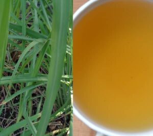 Čaj z citronové trávy (citronová tráva čaj)