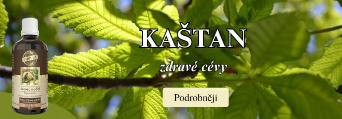 Kaštan