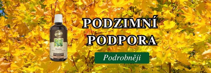 Podzim